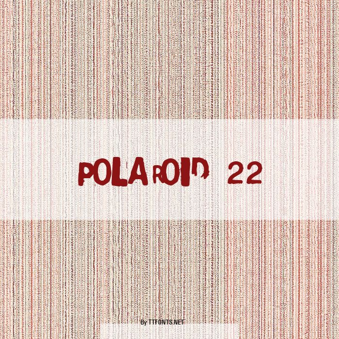 Polaroid 22 example